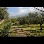 Casa Pizzillo Dom wakacyjny Campofelice Di Roccella