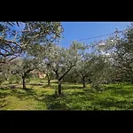 Casa Pizzillo * Campofelice Di Roccella