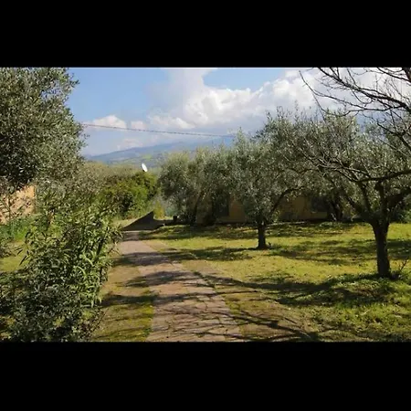 Casa Pizzillo Σπίτι διακοπών Campofelice Di Roccella