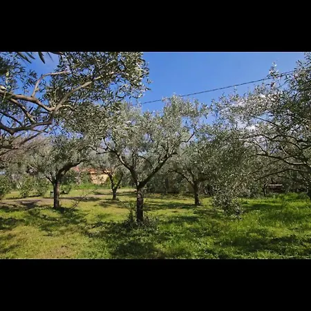 Casa Pizzillo * Campofelice Di Roccella